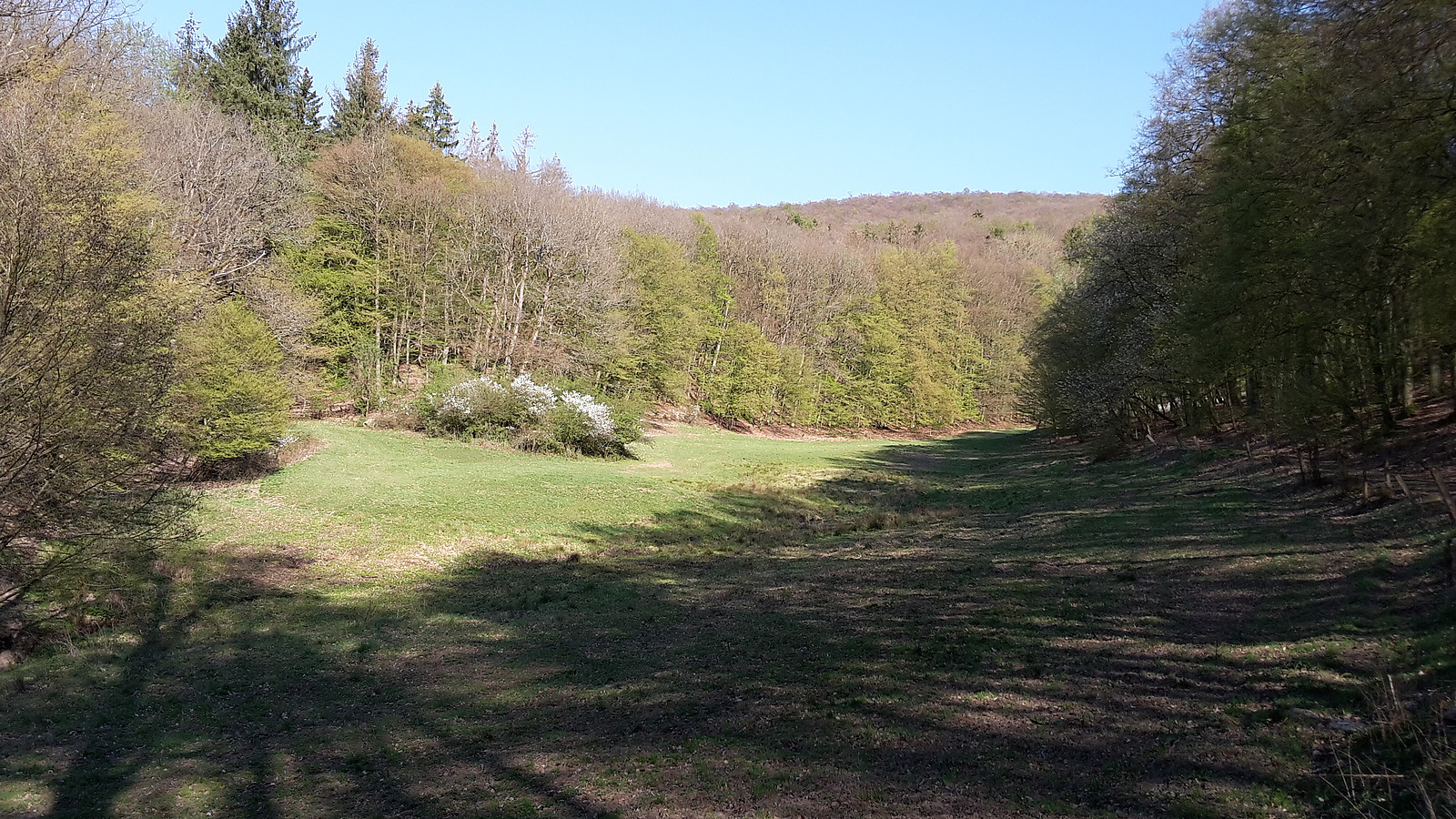 Hier sehen Sie ein Bilder aus der Umgebung